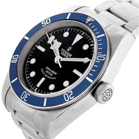 tudor black bay blue bezel.